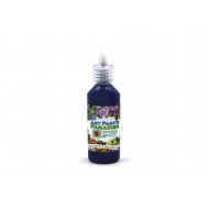 Acrylic Paints - Forest Blueberries Acrylic Paints - Forest Blueberries